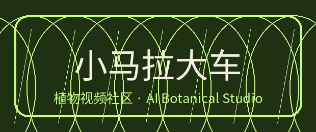 小马拉大车